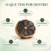O que tem por dentro